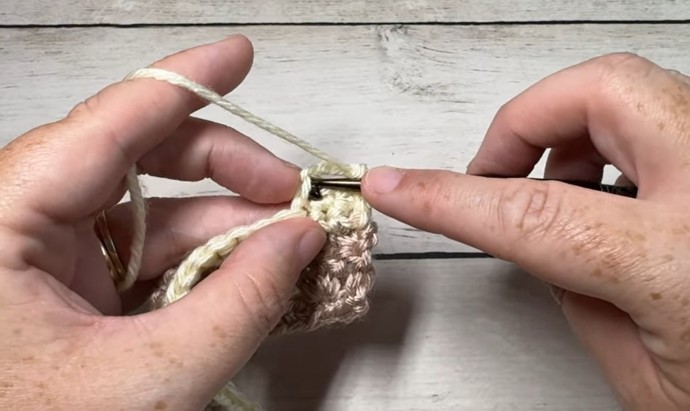 How to Crochet the Picot Waves Stitch Photo Tutorial