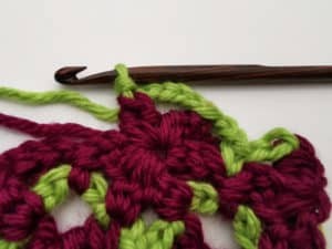 Rose Garden Crochet Stitch Photo Tutorial