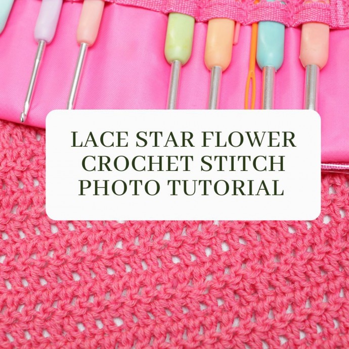 Lace Star Flower Crochet Stitch Photo Tutorial