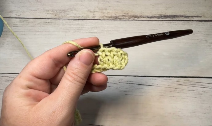 How to Crochet the Pretty Puffs Stitch Photo Tutorial