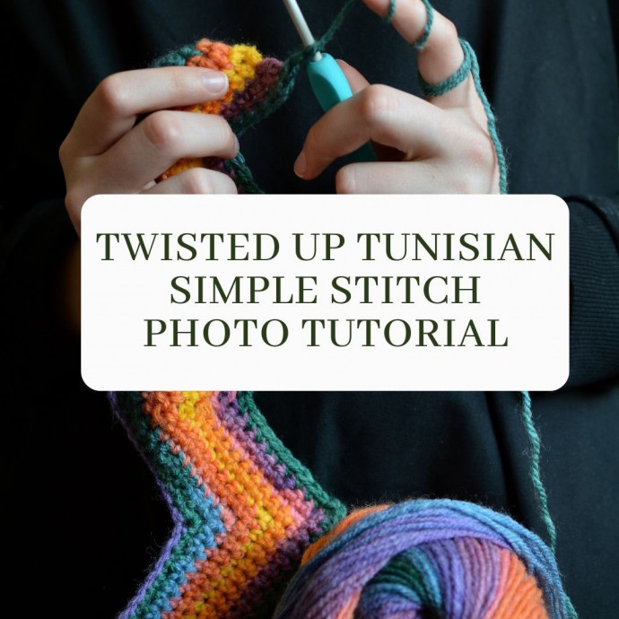 Twisted Up Tunisian Simple Stitch Photo Tutorial