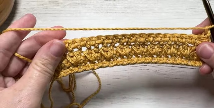 How to Crochet the Twin Stitch Photo Tutorial