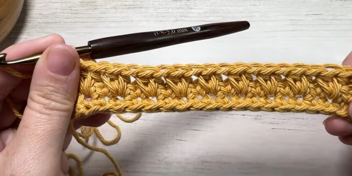 How to Crochet the Twin Stitch Photo Tutorial