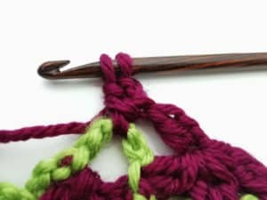 Rose Garden Crochet Stitch Photo Tutorial