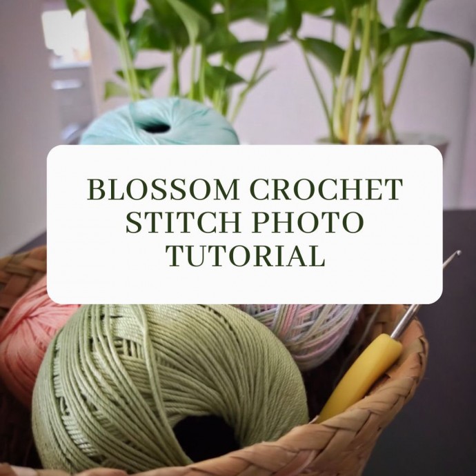 Blossom Crochet Stitch Photo Tutorial