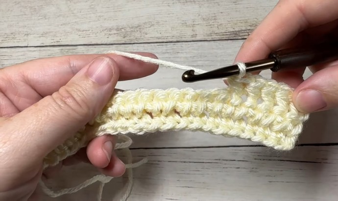 How to Crochet the Treads Stitch Photo Tutorial