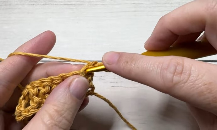 How to Crochet the Wheat Stitch Photo Tutorial