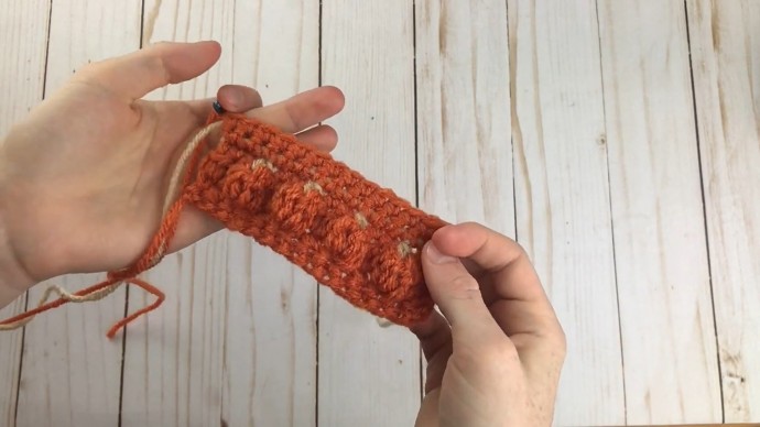 How to Crochet the Pumpkin Patch Stitch Photo Tutorial