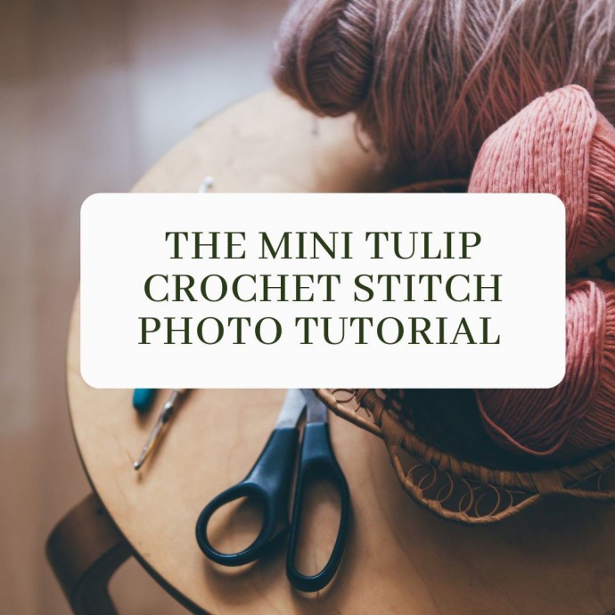 The Mini Tulip Crochet Stitch Photo Tutorial