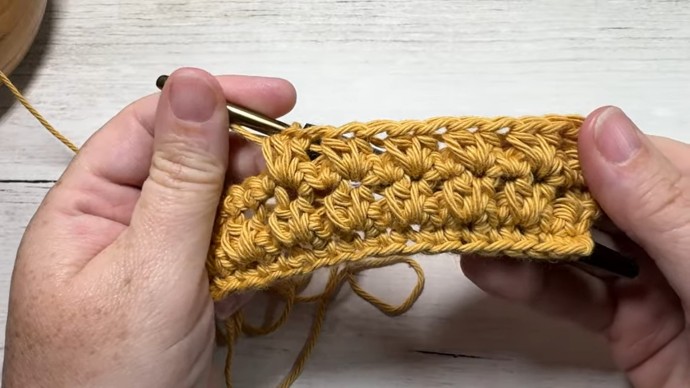 How to Crochet the Twin Stitch Photo Tutorial