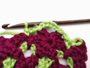 Rose Garden Crochet Stitch Photo Tutorial