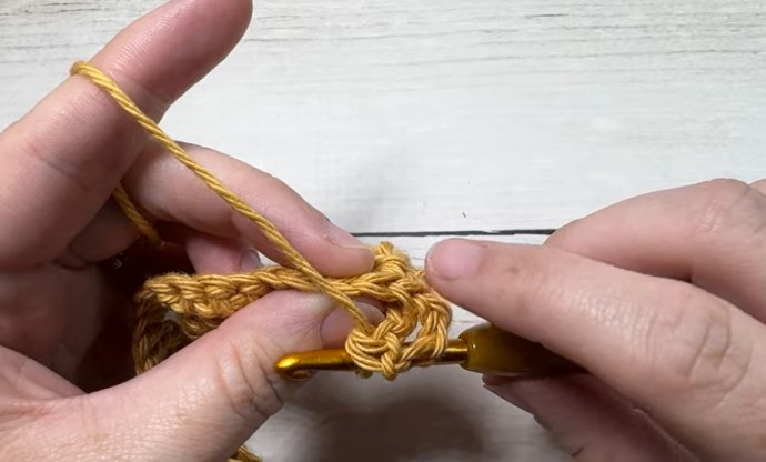 How to Crochet the Wheat Stitch Photo Tutorial