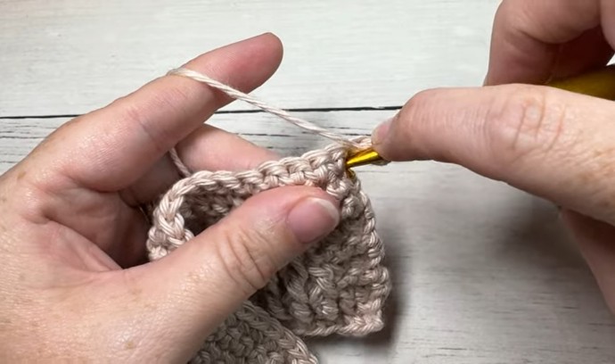 How to Crochet the Embossed Triangle Stitch Photo Tutorial