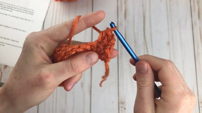 How to Crochet the Pumpkin Patch Stitch Photo Tutorial