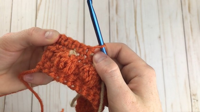 How to Crochet the Pumpkin Patch Stitch Photo Tutorial