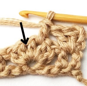 The Linked Shells Crochet Stitch Photo Tutorial