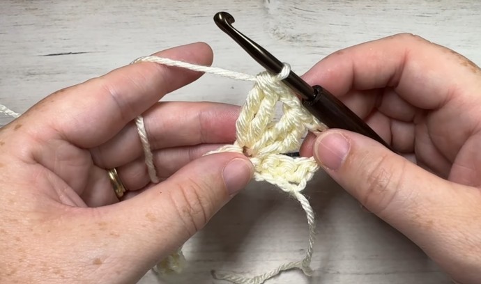 How to Crochet the Triple Cluster V-Stitch Photo Tutorial