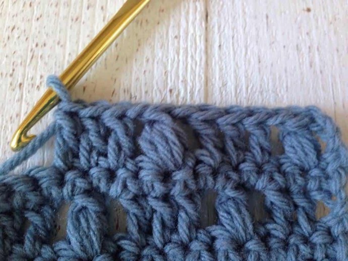 How to Crochet the Blueberry Stitch Tutorial