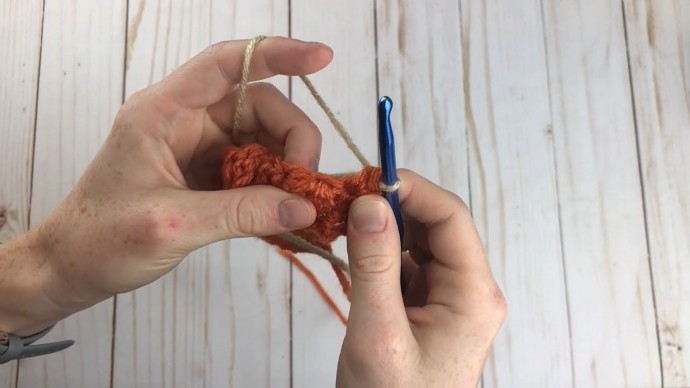 How to Crochet the Pumpkin Patch Stitch Photo Tutorial