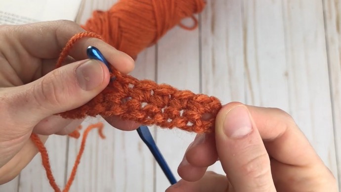 How to Crochet the Pumpkin Patch Stitch Photo Tutorial