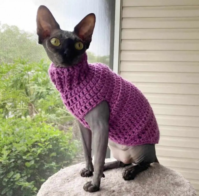 Crochet Cat Sweater — Brilliant Life Hacks