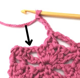 Flower and Triangle Crochet Stitch Photo Tutorial