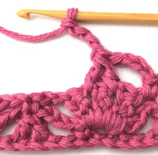 Flower and Triangle Crochet Stitch Photo Tutorial