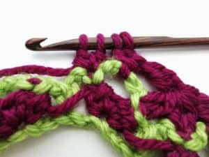 Rose Garden Crochet Stitch Photo Tutorial