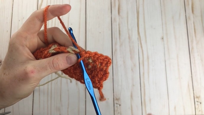 How to Crochet the Pumpkin Patch Stitch Photo Tutorial