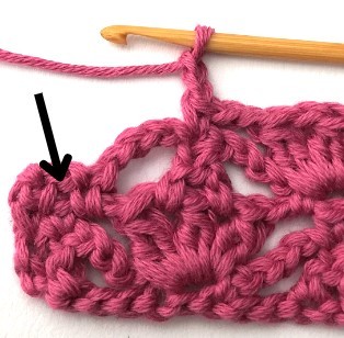 Flower and Triangle Crochet Stitch Photo Tutorial