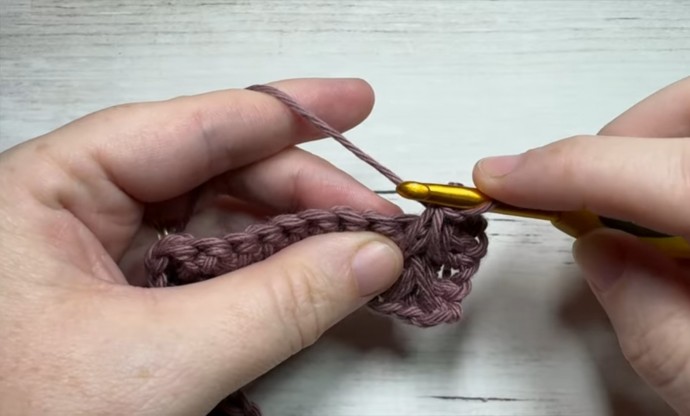 How to Crochet the Field Stitch Photo Tutorial