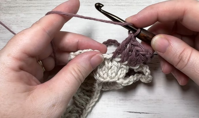 How to Crochet the Polish Star Stitch Photo Tutorial