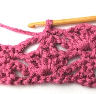 Flower and Triangle Crochet Stitch Photo Tutorial