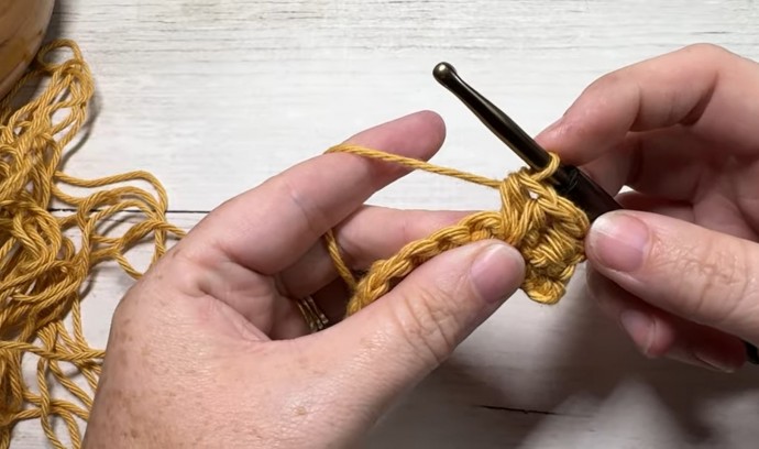 How to Crochet the Twin Stitch Photo Tutorial