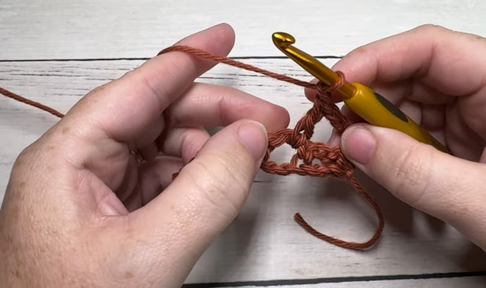 How to Crochet the Spiked Crossed Stitch Photo Tutorial