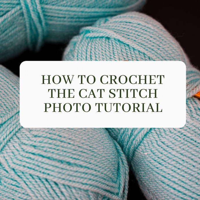 How To Crochet The Cat Stitch Photo Tutorial