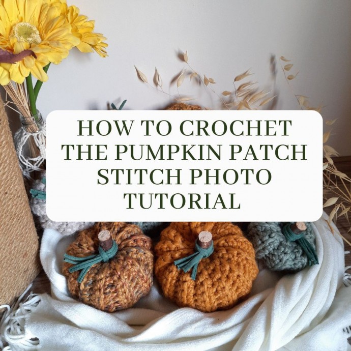 How to Crochet the Pumpkin Patch Stitch Photo Tutorial