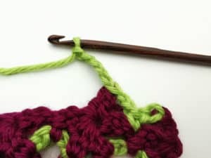 Rose Garden Crochet Stitch Photo Tutorial