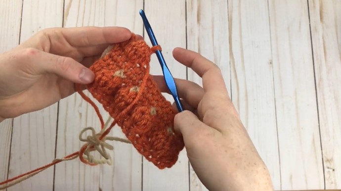 How to Crochet the Pumpkin Patch Stitch Photo Tutorial