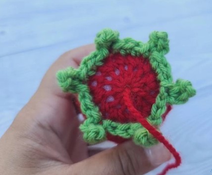 No Sew Crochet Strawberry Pattern