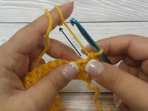 How to Crochet the Double Loop Stitch Photo Tutorial