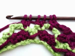 Rose Garden Crochet Stitch Photo Tutorial