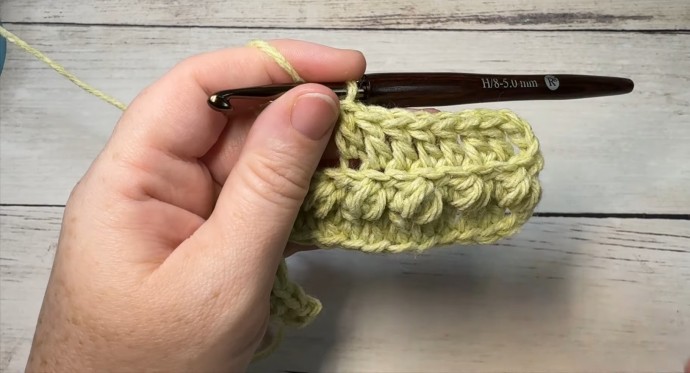 How to Crochet the Pretty Puffs Stitch Photo Tutorial