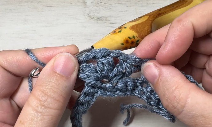 How to Crochet the Shelled Cluster Stitch Photo Tutorial