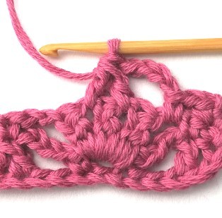 Flower and Triangle Crochet Stitch Photo Tutorial