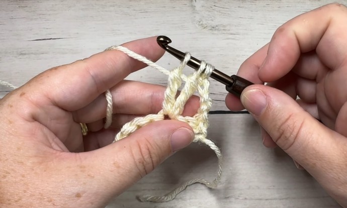 How to Crochet the Triple Cluster V-Stitch Photo Tutorial