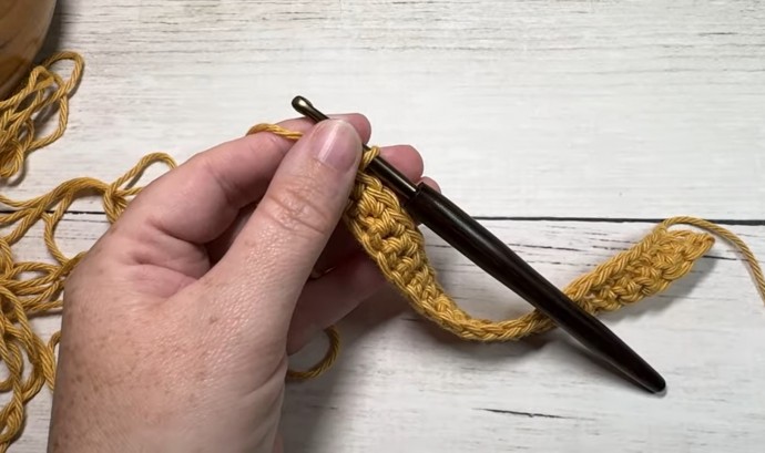 How to Crochet the Twin Stitch Photo Tutorial