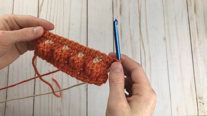 How to Crochet the Pumpkin Patch Stitch Photo Tutorial