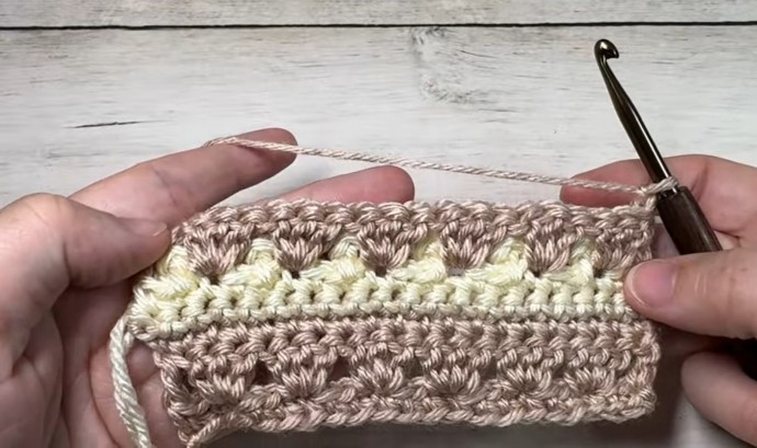 How to Crochet the Picot Waves Stitch Photo Tutorial