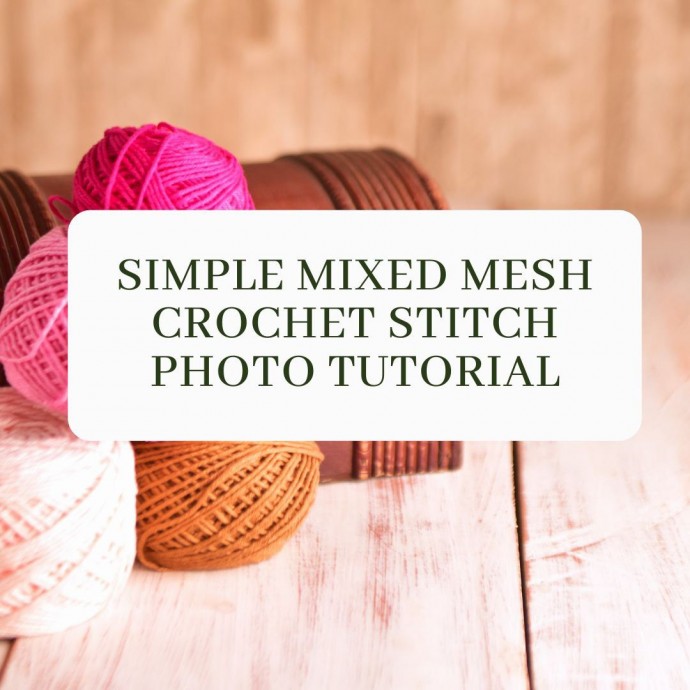 Simple Mixed Mesh Crochet Stitch Photo Tutorial